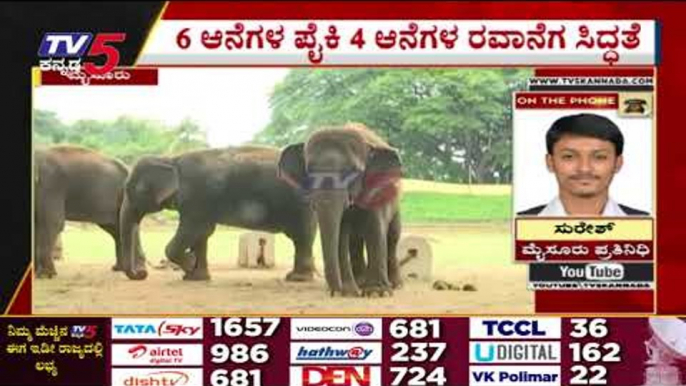 ಮೈಸೂರು ರಾಜಮನೆತನಕ್ಕೆ ಆನೆಗಳೇ ಹೊರೆ..! | Mysuru News | Dasara | Tv5 Kannada