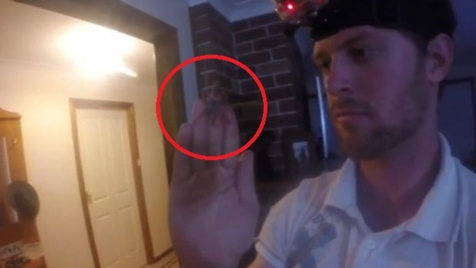 He Found A Venomous Spider In His House... But His Reaction Was Shocking