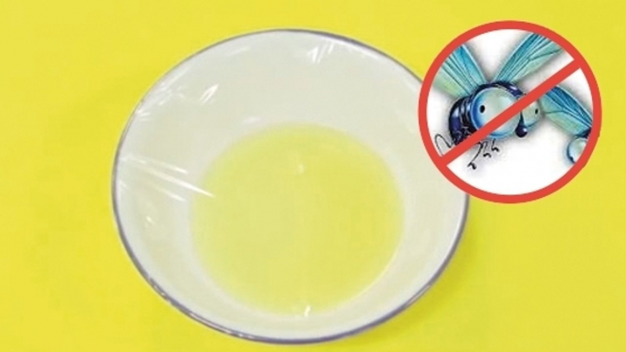 I Followed These Easy Steps And Finally Got Rid Of All The Fruit Flies In My Kitchen