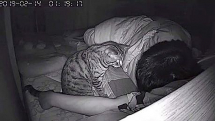He Hid A Camera In His Bedroom To Film His Cat At Night - And Couldn't Believe What He Saw