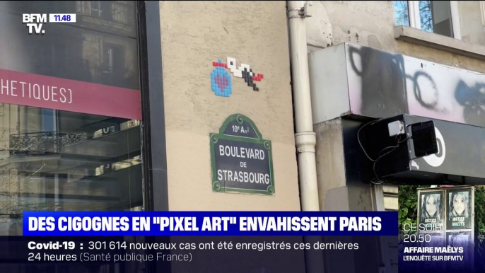 Qui est l'artiste derrière les cigognes en "pixel art" à Paris ? BFMTV répond à vos questions