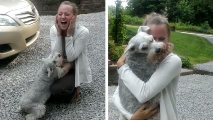 Dieser Hund ist so aufgebracht sein Frauchen wieder zu sehen, dass sie zu tiefst gerührt ist.