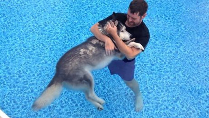 Er geht mit seinem alten Hund in den Pool, um seine Schmerzen zu lindern.