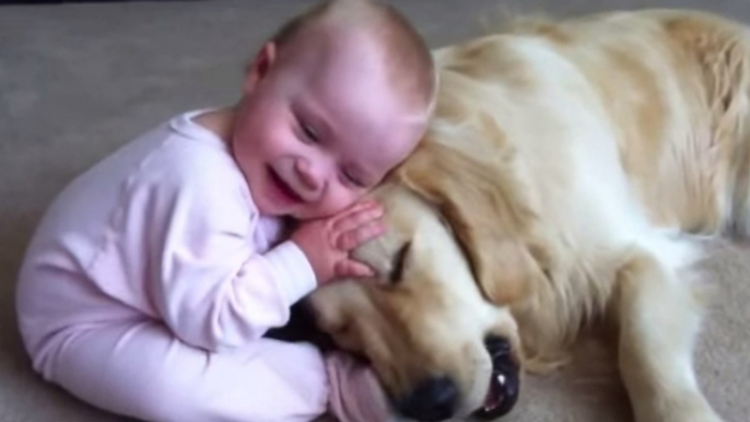 Dieses Baby spielt mit einem sehr geduldigen Hund. Dieses Duo wird Sie dahinschmelzen lassen!