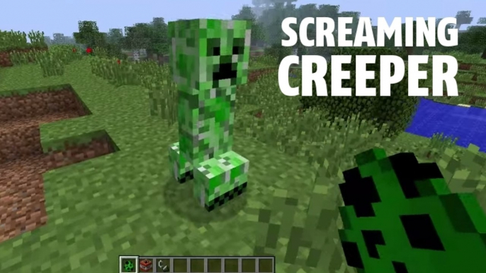 Minecraft : un joueur mod le jeu pour faire crier la TNT et les creepers