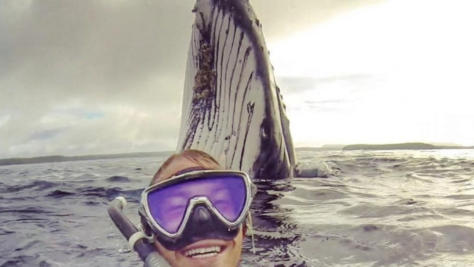 Cet homme a sans doute pris le selfie le plus impressionnant que vous n'avez jamais vu !