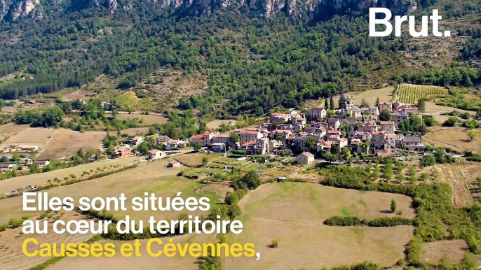 Les Gorges du Tarn, parmi les plus grandes gorges d'Europe