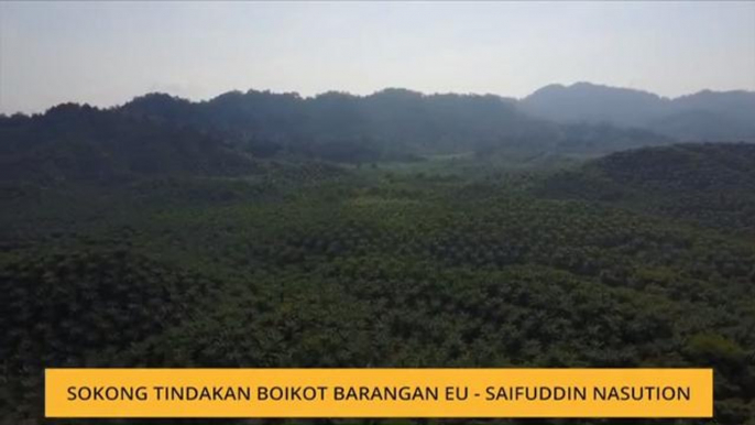 Sokong tindakan boikot barangan EU - Saifuddin Nasution