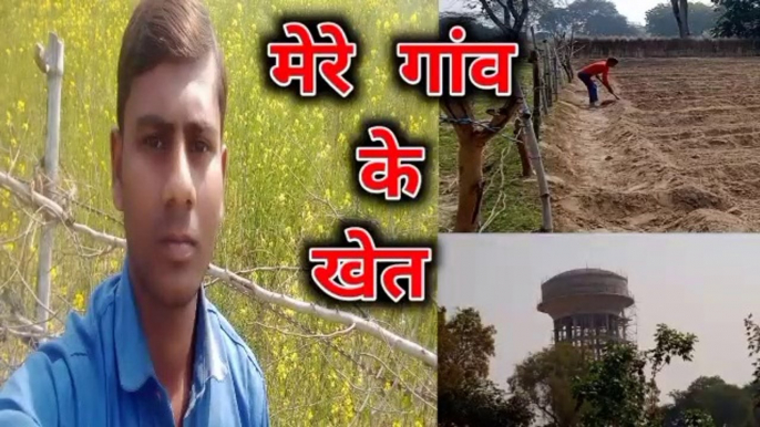 मेरे गांव के खेत | Village Lifestyle | Hindi Vlogs | Deshi Vlogs | #RajeshVermaVlogs.