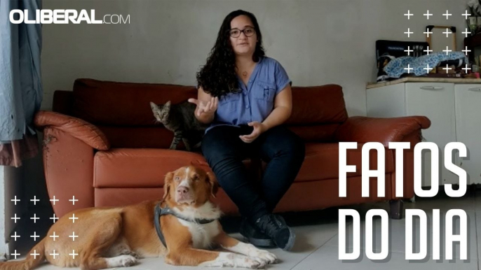 Teoria do Elo: violência contra mulheres e animais estão diretamente relacionadas