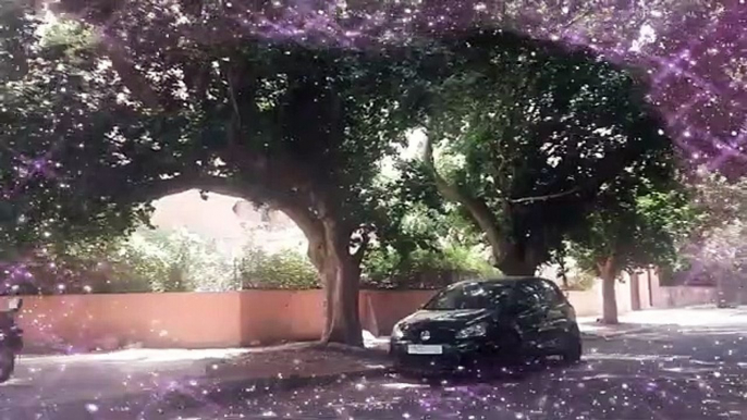 طبيعة مراكش الخلابة  Marrakech nature(360P)