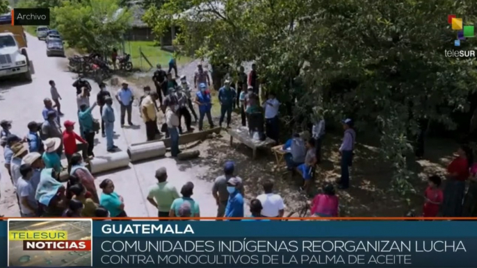 teleSUR Noticias 15:30 21-02: Guatemala: Indígenas protestan contra monocultivos de la palma de aceite