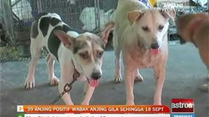 39 anjing positif wabak anjing gila sehingga 18 September