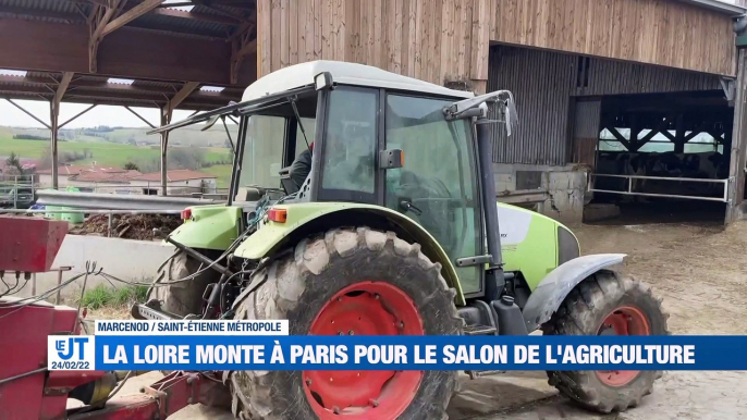 A la Une : Rassemblement pour la paix en Ukraine / Les agriculteurs de la Loire à Paris / Les verts heureux de retrouver le public