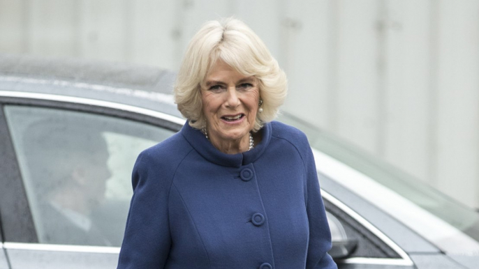 Duchess of Cornwall launches Platinum Champions for Queen's Jubilee