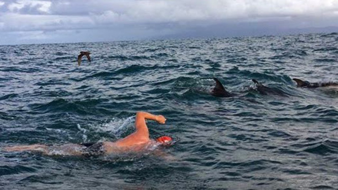 Menacé par un requin en pleine mer, Adam Walker est sauvé par des dauphins