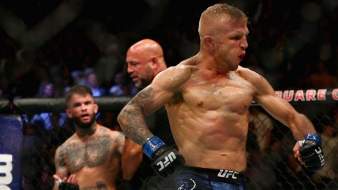 UFC 227 : Nos analyses et pronostics pour Cody Garbrandt vs TJ Dillashaw et Demetrious Johnson vs Henry Cejudo, les deux rematchs les plus attendus de l'année pour un événement de folie où vous pourrez également retrouver Cub Swanson et Thiago Santos