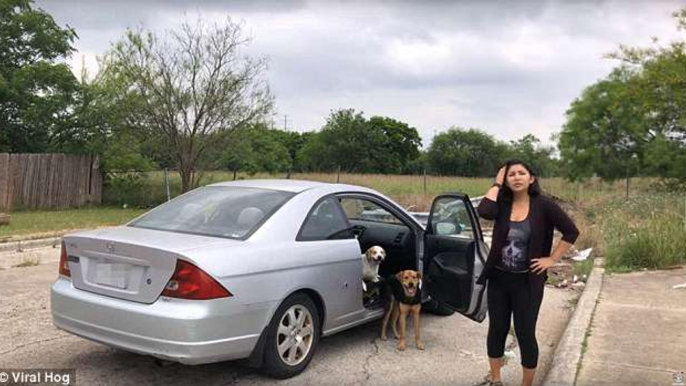 Woman caught leaving her dogs for dead in despicable act