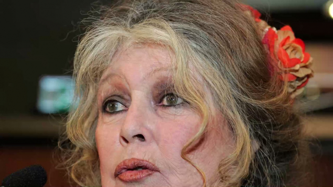 Brigitte Bardot "engueule" Emmanuel Macron : découvrez sa lettre ouverte dédiée au président