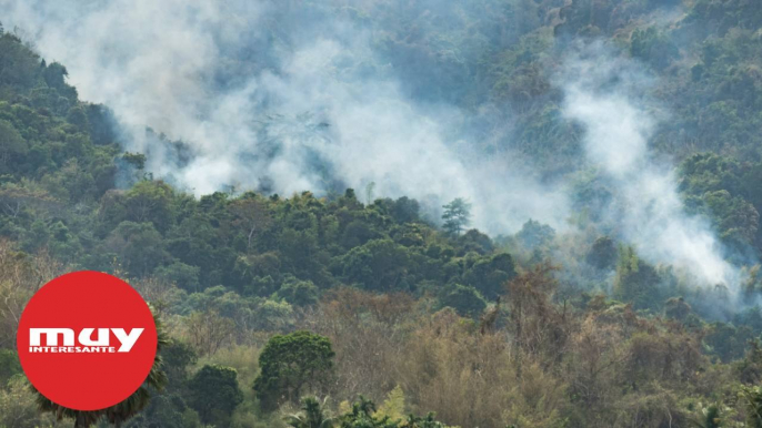 Así destruye el humo de los incendios la capa de Ozono