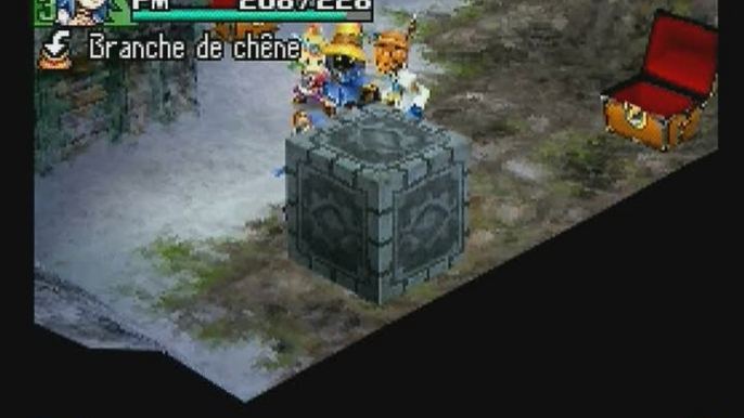 Final Fantasy Crystal Chronicles : Echoes of Time : Montagne de glace