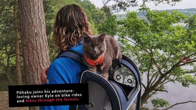 Fearless feline goes on hikes and bike rides in the Peak District