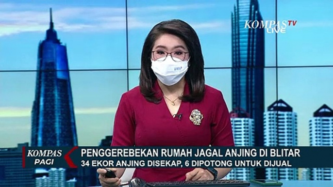 Nasib Malang Anjing-Anjing Ini, 34 Ekor Disekap dan 6 Lainnya Sudah Dipotong Tukang Jagal!