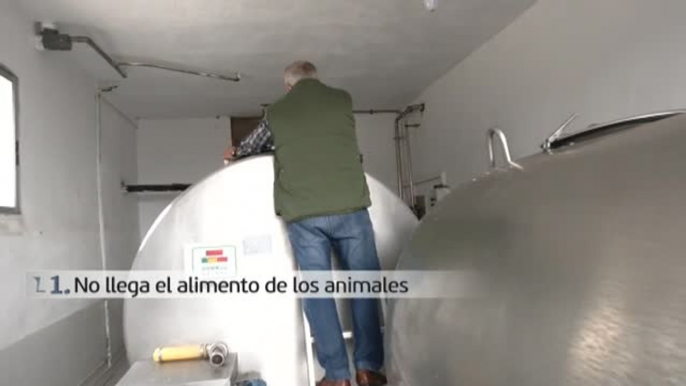 Los ganaderos españoles: ni pueden alimentar a sus animales, ni vender el producto, ni pagar las facturas.