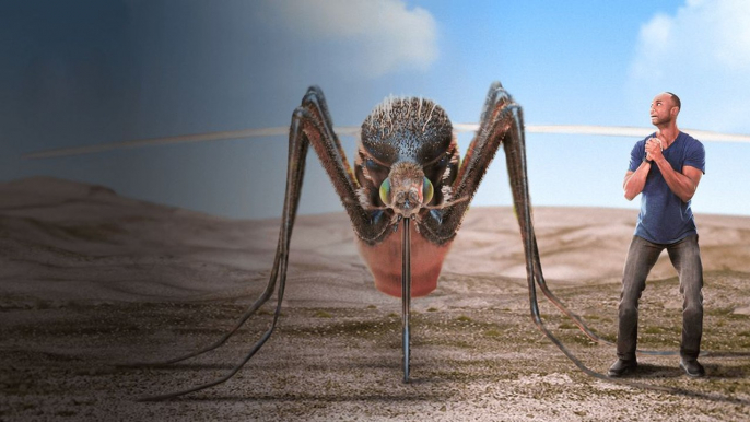 What If Mosquitoes Were the Size of Humans?