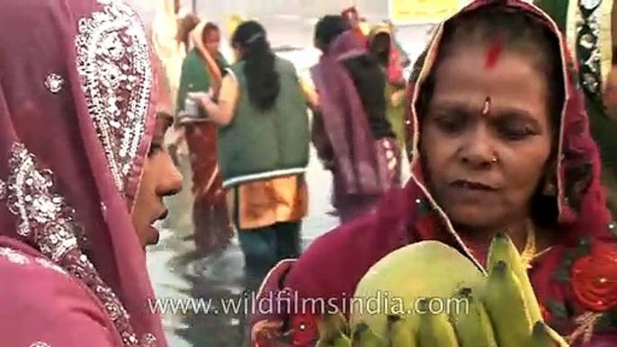 Hindu women perform rituals on the bank of the river Yamuna during Chhatt puja