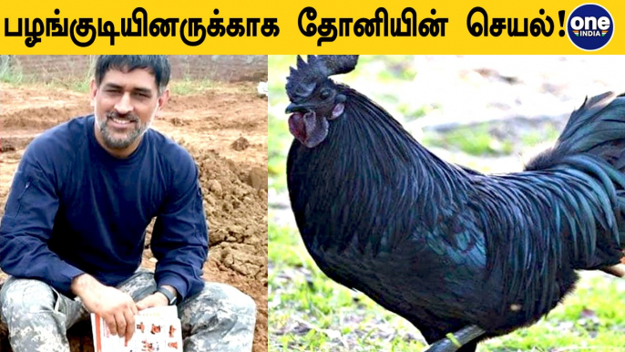 Dhoni receives 2000 Kadaknath chicks of famous breed at his Ranchi farmhouse | OneIndia Tamil
