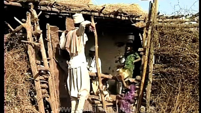 Buffalo herder of Gujarat and his family!