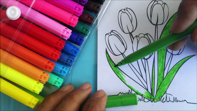 9 | Coloring tulips flowers | Tô màu hoa tulip | #tomau #tômàu #coloring #flowers #tulips #chimxinh