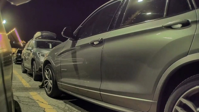 Bear Caught Trying to Open Car Door