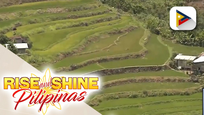 National Museum, magsasagawa ng archaeological research sa rice terraces sa Ifugao