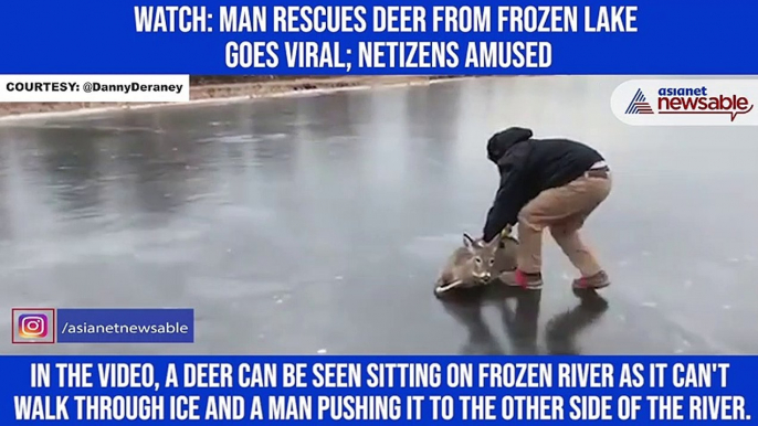 Watch: Man rescues deer from frozen lake goes; netizens amused