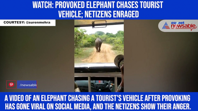 Watch: Provoked elephant chases tourist vehicle; netizens enraged