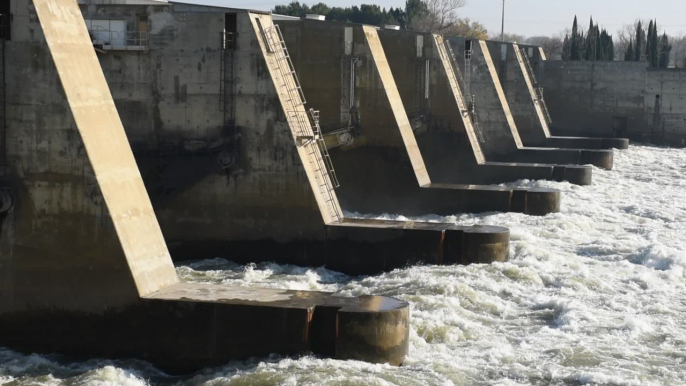 Les barrages, obstacles pour la biodiversité des cours d'eau