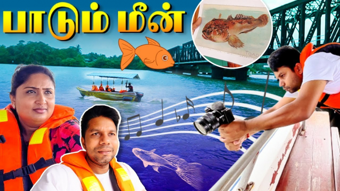 பாடும் மீன்கள் Singing Fish of Batticaloa _ Sri Lanka _ Rj Chandru Vlogs