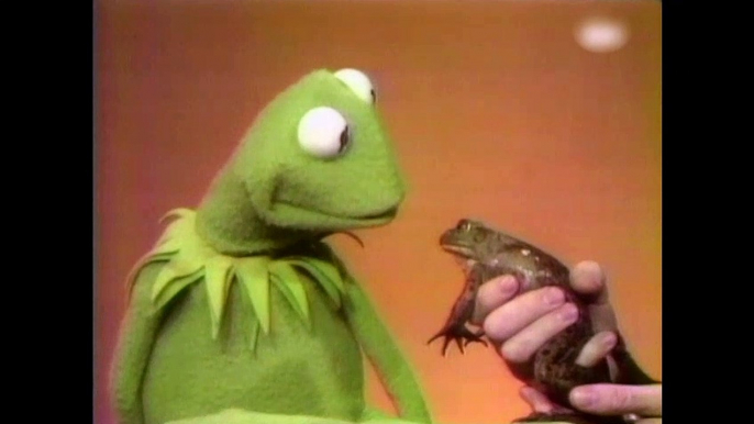 Bob und Kermit der Frosch - Die Kröte 70er