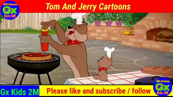 Tom And Jerry Cartoons full episode  //  Tom and Jerry Cartoons Video  //  Tom And Jerry New Cartoon Video