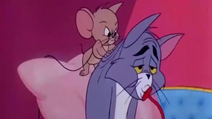 Tom and Jerry Best Series #1