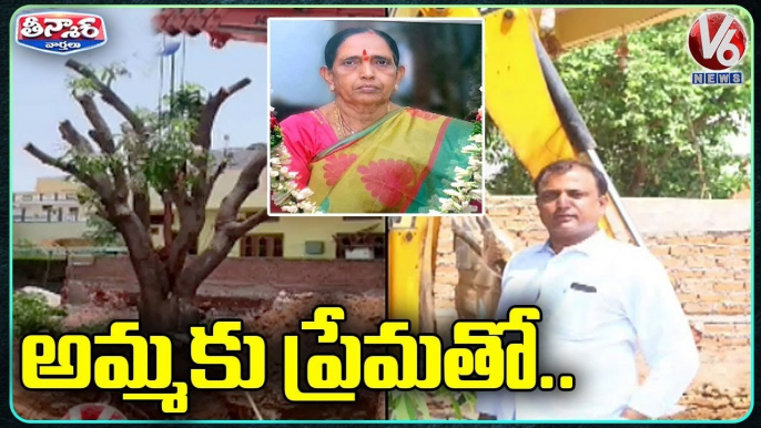 Son Transplanting A Mango Tree Near His Mother’s Grave _ Siddipet _ V6 Weekend Teenmaar