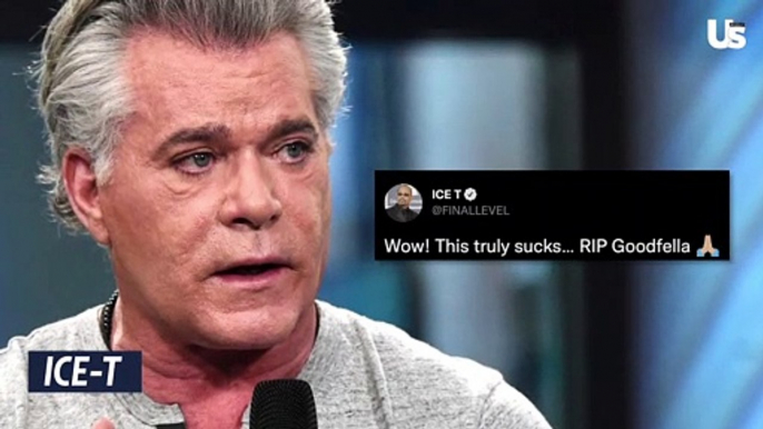 Ray Liotta Dead At 67 - Goodfellas Costar Lorraine Bracco & More Celebrities React