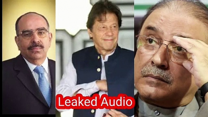 PMLN allegedly released audio tape of conversation between Malik Riaz and Asif Zardari