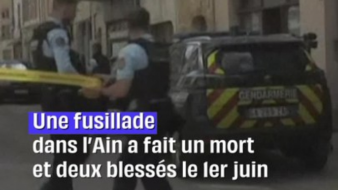 Fusillade dans l'Ain : un homme interpellé après un mort et deux blessés