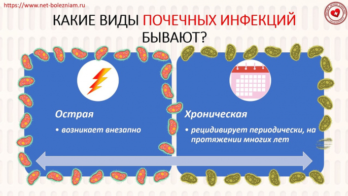 Почему болят почки? Причины, симптомы и лечение болезней почек