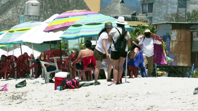 Por veda del ostión de piedra, ostioneros buscan opciones | CPS Noticias Puerto Vallarta