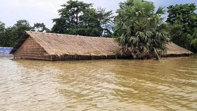 Monsoon Mayhem: Floods wreak havoc in India’s east | Watch