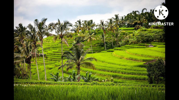 Relaksasi suara kecapi dan suling merdu